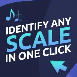 Identify any scale in one click